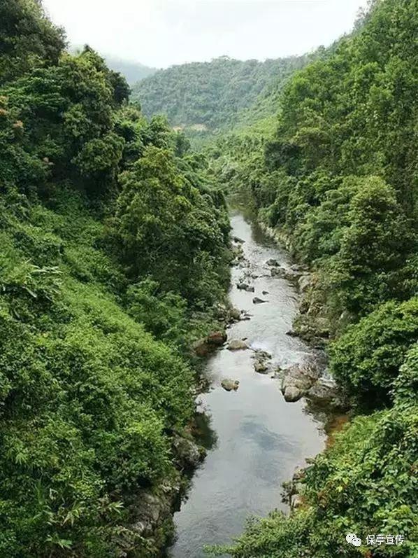 沙溢新电影上映，全家对于电影持有什么态度？游戏画面